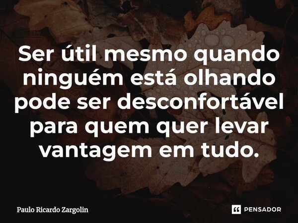 ⁠Ser útil mesmo quando ninguém está olhando pode ser desconfortável para quem quer levar vantagem em tudo.... Frase de Paulo Ricardo Zargolin.