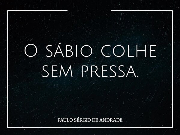 O sábio colhe sem pressa.... Frase de PAULO SÉRGIO DE ANDRADE.