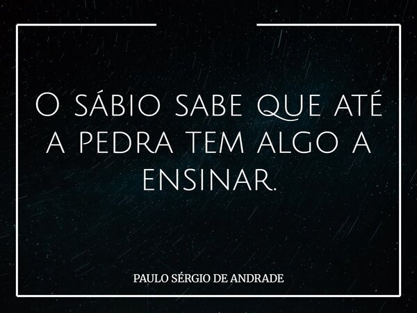 O sábio sabe que até a pedra tem algo a ensinar.... Frase de PAULO SÉRGIO DE ANDRADE.