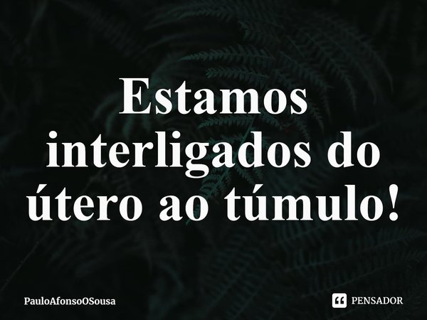 ⁠Estamos interligados do útero ao túmulo!... Frase de PauloAfonsoOSousa.