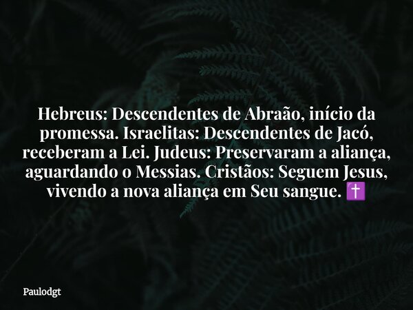 Hebreus: Descendentes de Abraão, início da promessa. Israelitas: Descendentes de Jacó, receberam a Lei. Judeus: Preservaram a aliança, aguardando o Messias. Cri... Frase de Paulodgt.