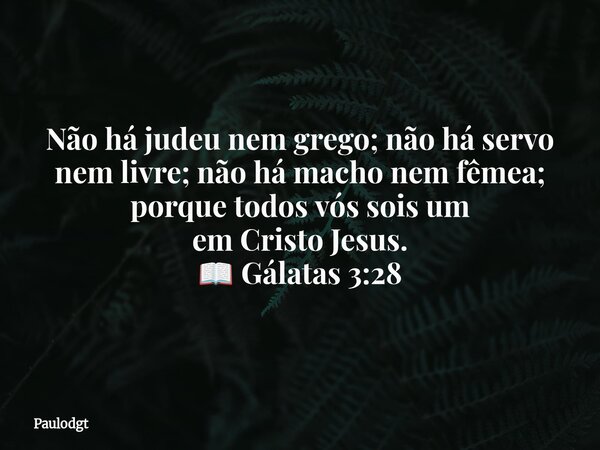 Não há judeu nem grego; não há servo nem livre; não há macho nem fêmea; porque todos vós sois um em Cristo Jesus. 📖 Gálatas 3:28... Frase de Paulodgt.