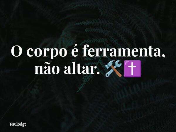 O corpo é ferramenta, não altar. 🛠️✝️... Frase de Paulodgt.