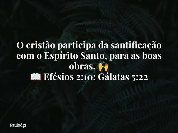 O cristão participa da santificação com o Espírito Santo, para as boas obras. 🙌 📖 Efésios 2:10; Gálatas 5:22... Frase de Paulodgt.