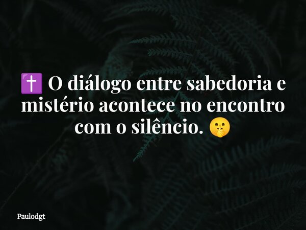 ✝️ O diálogo entre sabedoria e mistério acontece no encontro com o silêncio. 🤫... Frase de Paulodgt.