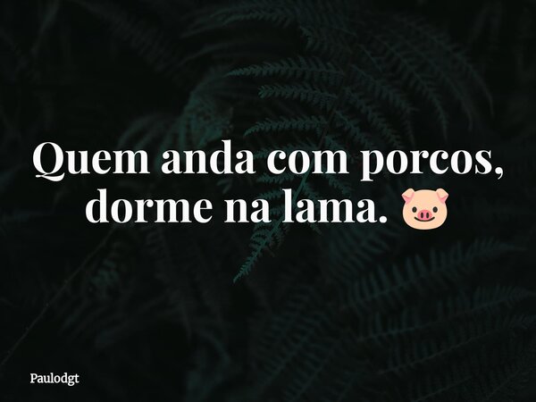 Quem anda com porcos, dorme na lama. 🐷... Frase de Paulodgt.