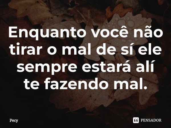 Enquanto você não tirar o mal de sí ele sempre estará alí te fazendo mal.... Frase de pecy.