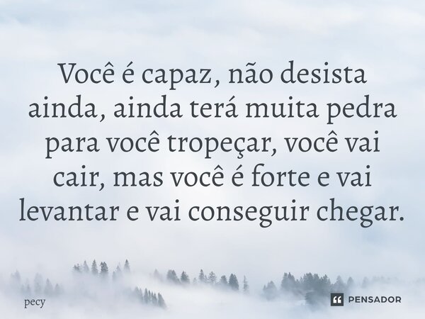 Você é capaz, não desista ainda, ⁠ainda terá muita pedra para você tropeçar, você vai cair, mas você é forte e vai levantar e vai conseguir chegar.... Frase de pecy.