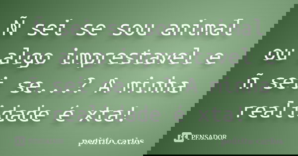 Ñ sei se sou animal ou algo imprestavel e ñ sei se...? A minha realidade é xta!... Frase de Pedrito carlos.