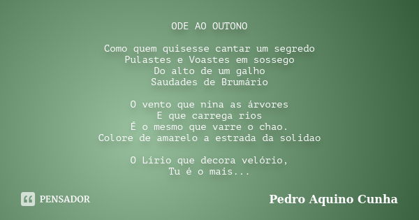 39 melhores filmes brasileiros de comédia dos últimos anos - Pensador