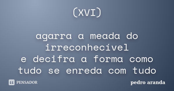 (XVI) agarra a meada do irreconhecível e decifra a forma como tudo se enreda com tudo... Frase de pedro aranda.