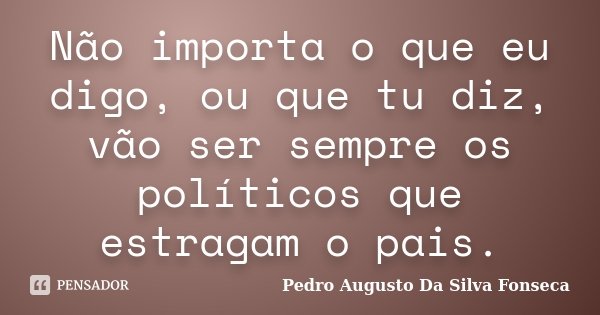 Não importa o que eu digo, ou que tu diz, vão ser sempre os políticos que estragam o pais.... Frase de Pedro Augusto Da Silva Fonseca.
