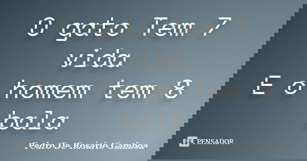 O gato Tem 7 vida E o homem tem 8 bala... Frase de Pedro De Rosário Gamboa.