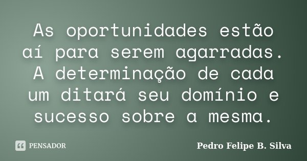 As oportunidades estão aí para serem agarradas. A determinação de cada um ditará seu domínio e sucesso sobre a mesma.... Frase de Pedro Felipe B. Silva..