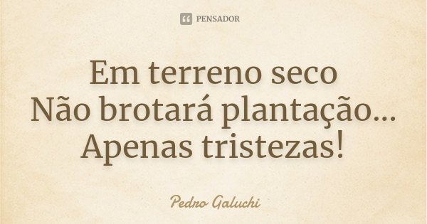 Em terreno seco Não brotará plantação... Apenas tristezas!... Frase de Pedro Galuchi.