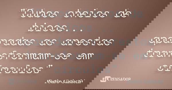 "Cubos cheios de bicos... aparadas as arestas transformam-se em círculos"... Frase de Pedro Galuchi.