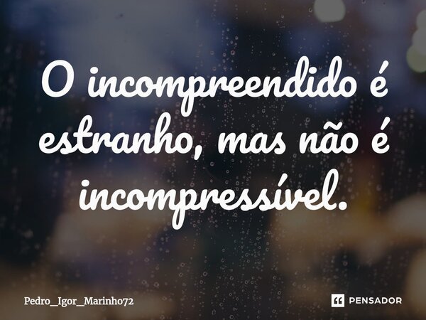 O incompreendido é estranho, mas não é incompressível.⁠... Frase de Pedro_Igor_Marinho72.