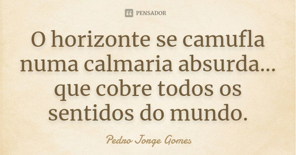 O horizonte se camufla numa calmaria absurda... que cobre todos os sentidos do mundo.... Frase de Pedro Jorge Gomes.