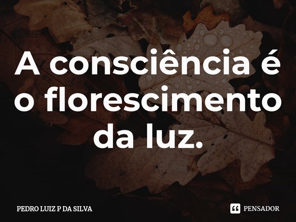 ⁠A consciência é o florescimento da luz.... Frase de PEDRO LUIZ P DA SILVA.