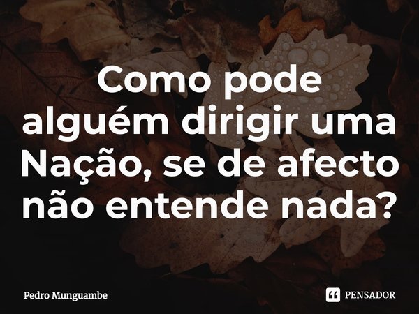 ⁠Como pode alguém dirigir uma Nação, se de afecto não entende nada?... Frase de Pedro Munguambe.