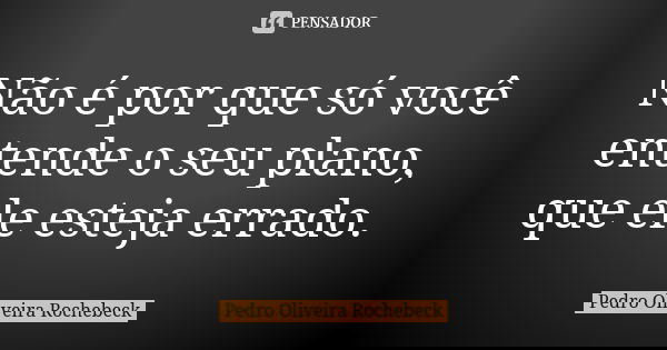 Não é por que só você entende o seu plano, que ele esteja errado.... Frase de Pedro Oliveira Rochebeck.