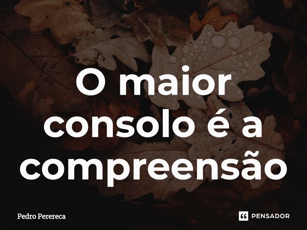 ⁠O maior consolo é a compreensão... Frase de Pedro Perereca.