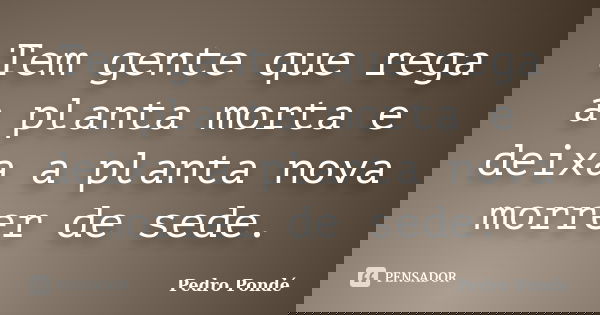 Tem gente que rega a planta morta e deixa a planta nova morrer de sede.... Frase de Pedro Pondé.