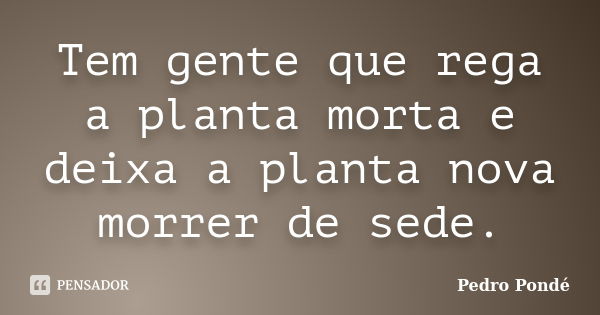 Tem gente que rega a planta morta e deixa a planta nova morrer de sede.... Frase de Pedro Pondé.