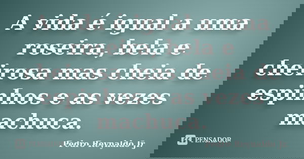A vida é igual a uma roseira, bela e cheirosa mas cheia de espinhos e as vezes machuca.... Frase de Pedro Reynaldo Jr.