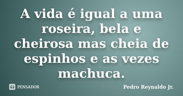 A vida é igual a uma roseira, bela e cheirosa mas cheia de espinhos e as vezes machuca.... Frase de Pedro Reynaldo Jr.