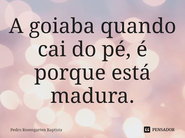 ⁠A goiaba quando cai do pé, é porque está madura.... Frase de Pedro Rosengarten Baptista.