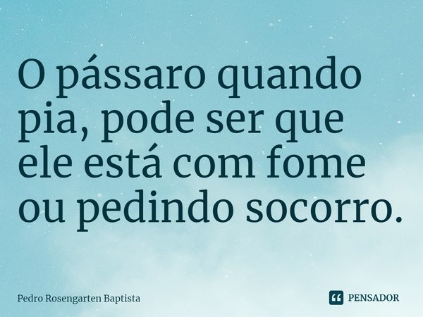 ⁠O pássaro quando pia, pode ser que ele está com fome ou pedindo socorro.... Frase de Pedro Rosengarten Baptista.