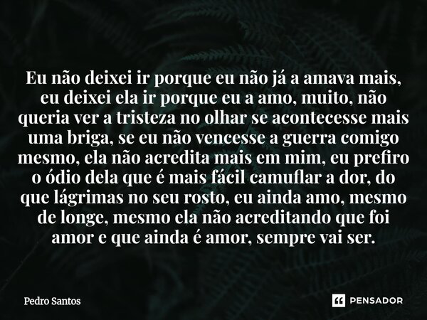 Eu não deixei ir porque eu não já a amava mais, eu deixei ela ir porque eu a amo, muito, não queria ver a tristeza no olhar se acontecesse mais uma briga, se e... Frase de Pedro Santos.