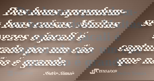Dos bons aprendem-se boas coisas. Muitas vezes o jacali é capturado por um cão que não é grande.... Frase de Pedro Tomás.