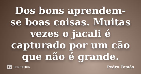 Dos bons aprendem-se boas coisas. Muitas vezes o jacali é capturado por um cão que não é grande.... Frase de Pedro Tomás.