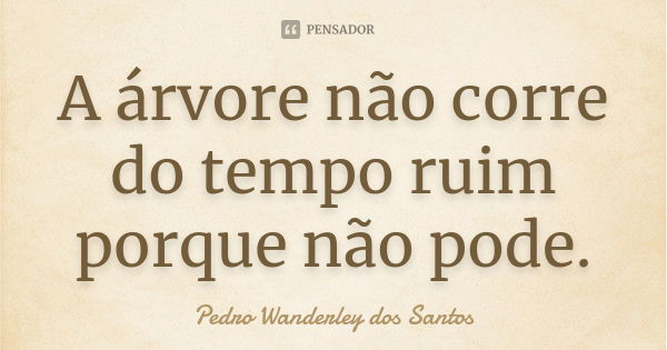 A árvore não corre do tempo ruim porque não pode.... Frase de Pedro Wanderley dos Santos.