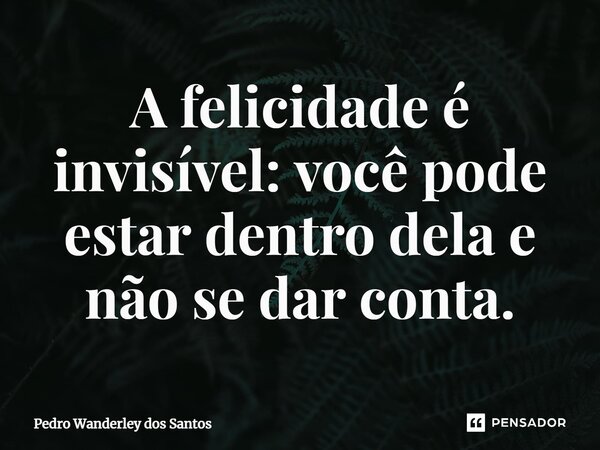 ⁠A felicidade é invisível: você pode estar dentro dela e não se dar conta.... Frase de Pedro Wanderley dos Santos.