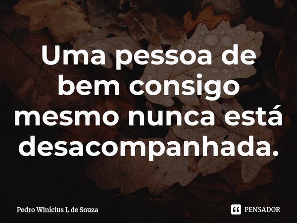 ⁠Uma pessoa de bem consigo mesmo nunca está desacompanhada.... Frase de Pedro Winícius L de Souza.