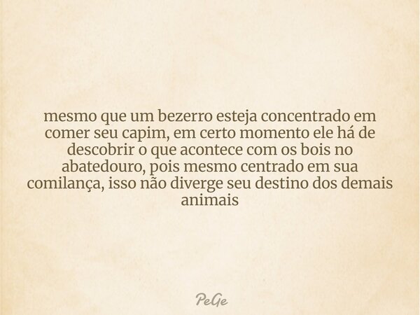 mesmo que um bezerro esteja concentrado em comer seu capim, em certo momento ele há de descobrir o que acontece com os bois no abatedouro, pois mesmo centrado e... Frase de PeGe.