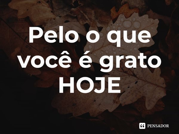 ⁠Pelo o que você é grato HOJE