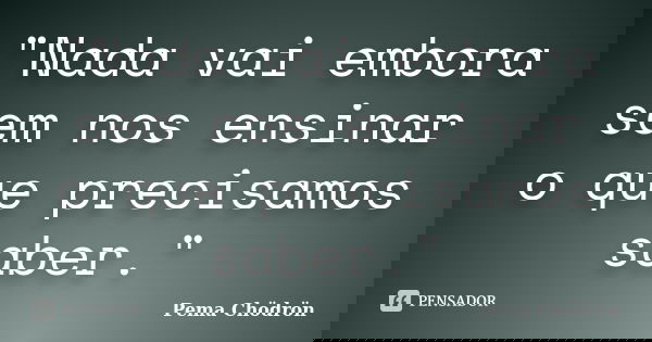 "Nada vai embora sem nos ensinar o que precisamos saber."... Frase de Pema Chodron.