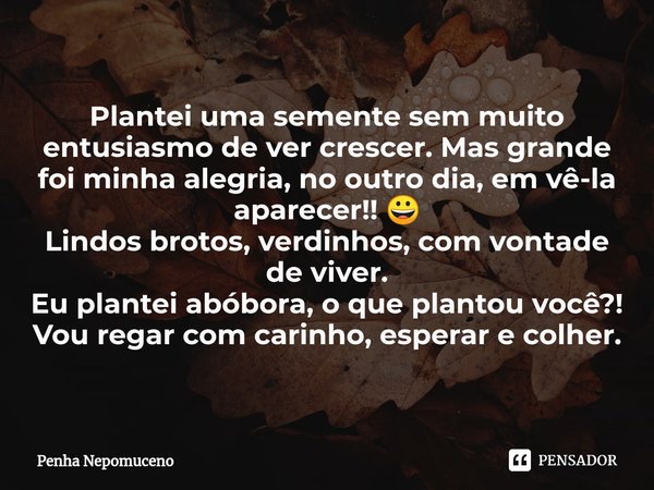 ⁠Plantei uma semente sem muito entusiasmo de ver crescer. Mas grande foi minha alegria, no outro dia, em vê-la aparecer!! 😀
Lindos brotos, verdinhos, com vontad... Frase de Penha Nepomuceno.