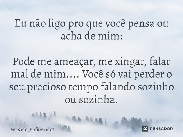 ⁠Eu não ligo pro que você pensa ou acha de mim: Pode me ameaçar, me xingar, falar mal de mim.... Você só vai perder o seu precioso tempo falando sozinho ou sozi... Frase de Pensado_Enfurecido1.