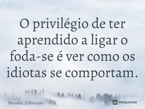 O ⁠privilégio de ter aprendido a ligar o foda-se é ver como os idiotas se comportam.... Frase de Pensador_Enfurecido1.