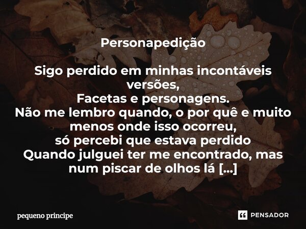 Personapedição Sigo perdido em minhas incontáveis versões, Facetas e personagens. Não me lembro quando, o por quê e muito menos onde isso ocorreu, só percebi qu... Frase de Pequeno Princípe.