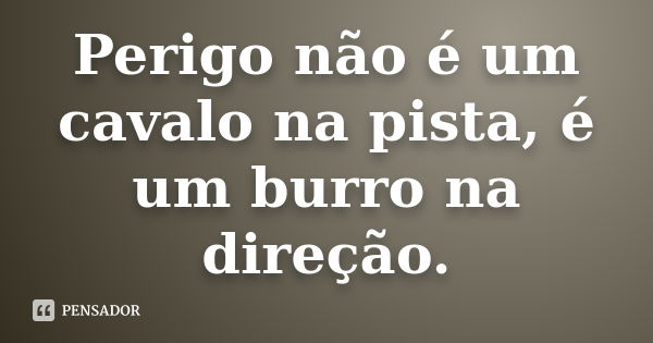 Perigo não é um cavalo na pista, é um burro na direção.