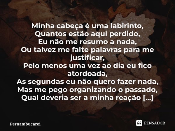 ⁠Minha cabeça é uma labirinto, Quantos estão aqui perdido, Eu não me resumo a nada, Ou talvez me falte palavras para me justificar, Pelo menos uma vez ao dia eu... Frase de Pernambucarei.