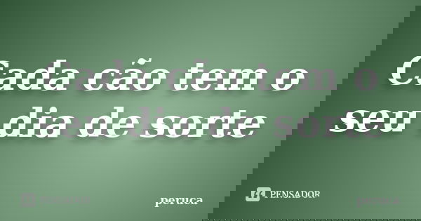 Cada cão tem o seu dia de sorte... Frase de peruca.