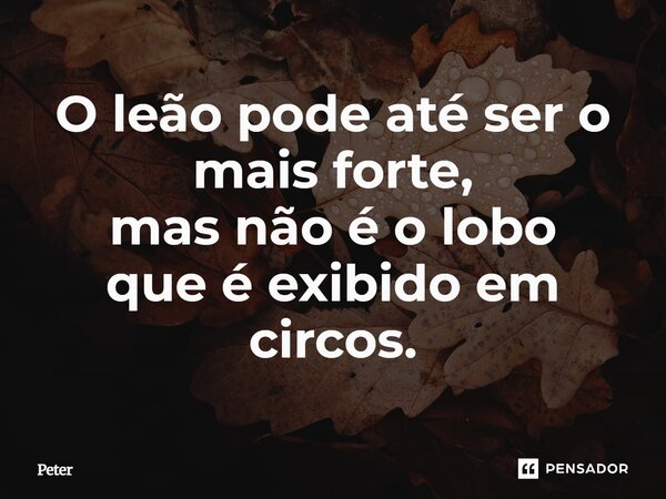⁠O leão pode até ser o mais forte, mas não é o lobo que é exibido em circos.... Frase de Peter.
