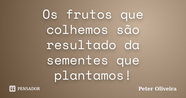 Os frutos que colhemos são resultado da sementes que plantamos!... Frase de Peter Oliveira.